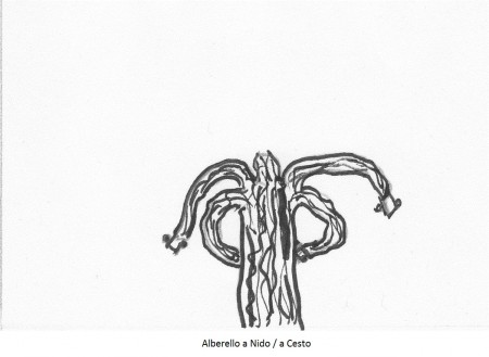 plaatje 5 alberello a nido