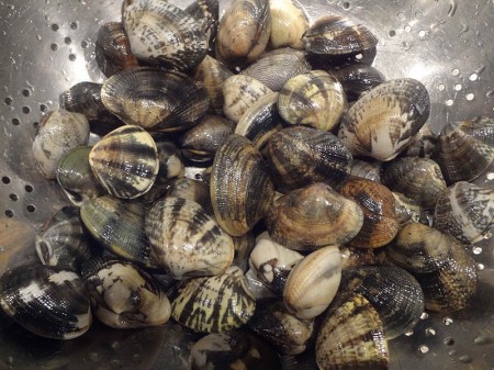 vongole