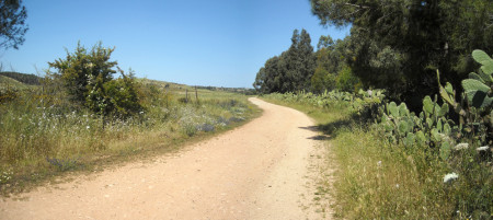 strada-di-campagna